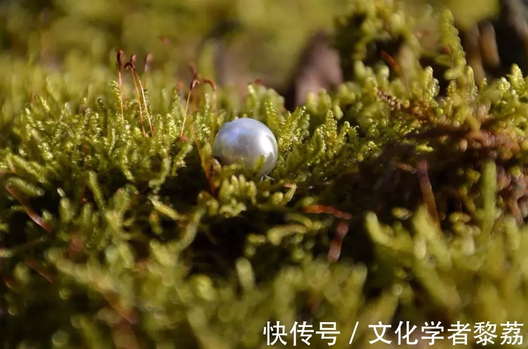 我想和你一起生活$此刻的我们