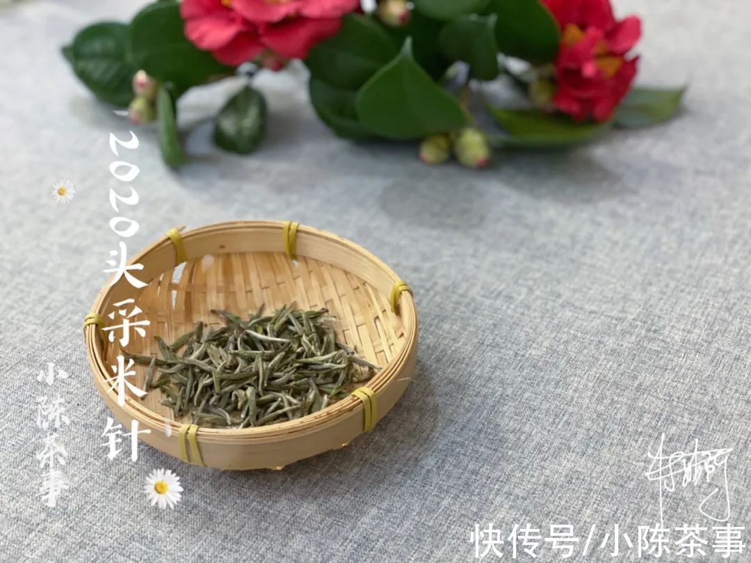 叶底香|毫香、花香、竹叶香,这些香气怎么没在白毫银针开箱的时候闻到?