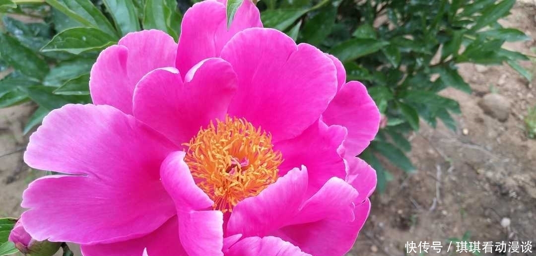 办事|曾国藩:不要多管闲事,有福不可享尽,有势不可使尽