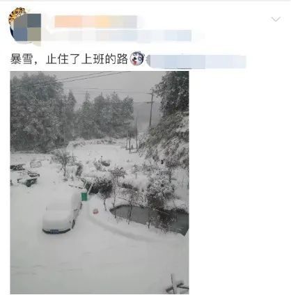 大部地区|被南方的鹅毛大雪刷屏！“断桥残雪”美呆，有人在雪里实现“冰墩墩”自由