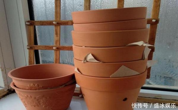 花盆也有讲究,用对了花儿长势旺,用错可就欲哭无泪了