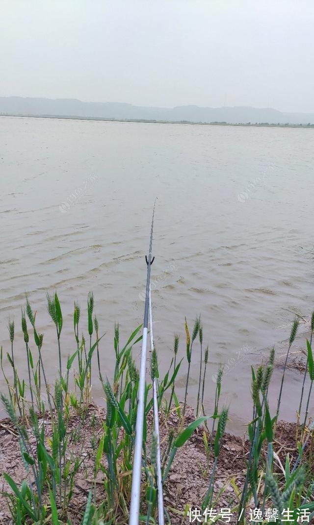 西南风|天刮西南风气死老钓翁野钓风向对鱼获影响知多少