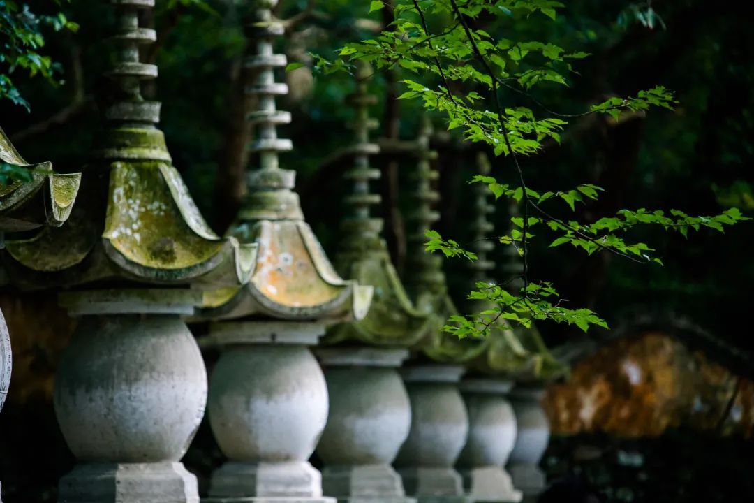 寺院|天台山国清寺恢复开放! 这里低调地美了1400多年, 佛到骨子里!