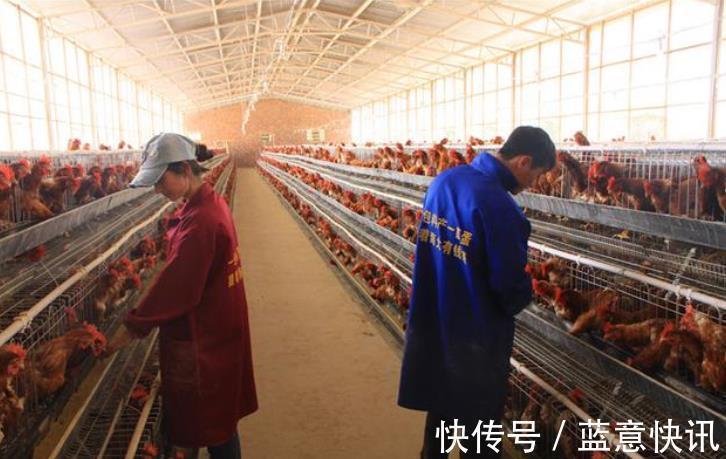 超市里的“冰冻鸡腿”都是哪里来的销售人员说漏嘴，听完你再买