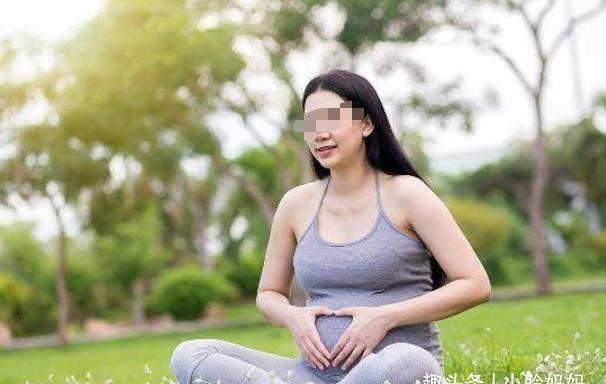 发育|孕吐反应越大孩子智商越高?来看看科学解释,或许和你想的不同