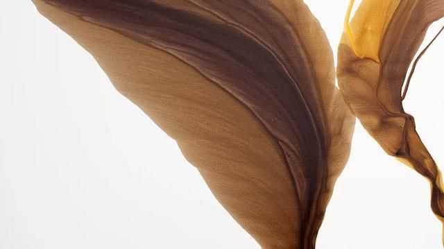 乌克兰|乌克兰艺术家安东·索科洛夫的水、彩画