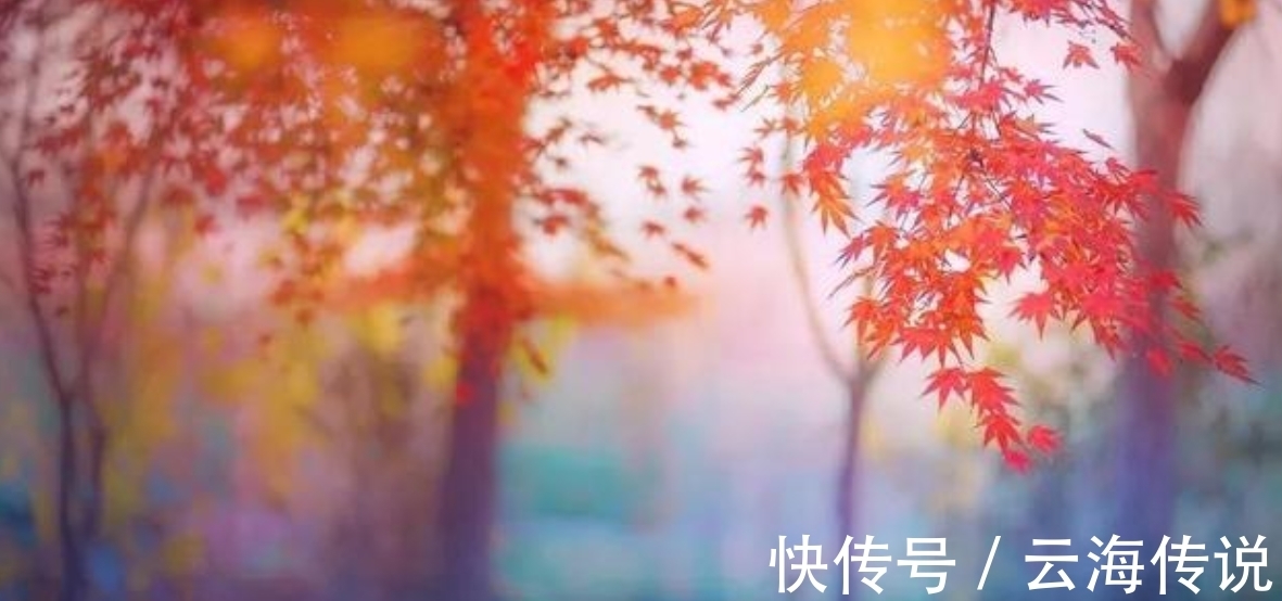 开篇|宋朝非顶流词人的一首词，开篇10字就是千古名句，令人惊艳