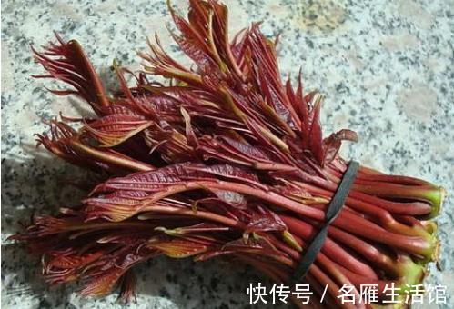 美味|养生最该吃的几种野菜，比吃肉鲜，比吃补药大补，纯天然绿色美味