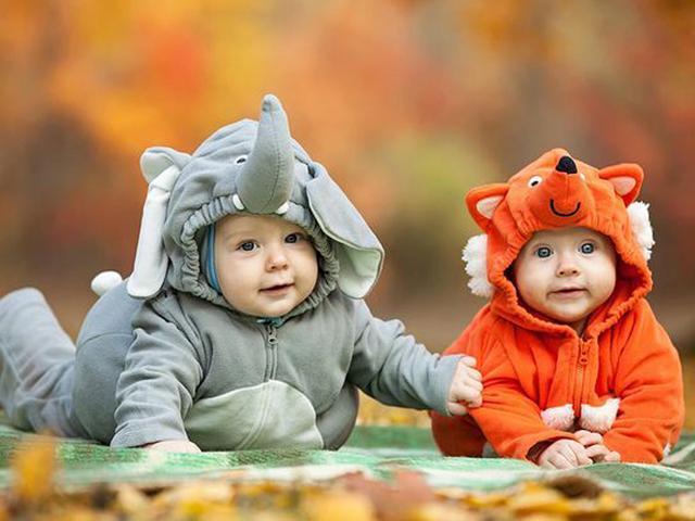 顺耳|爸爸姓“杨”,喜得五胞胎,灵机一动起佳名,上户口民警笑开花
