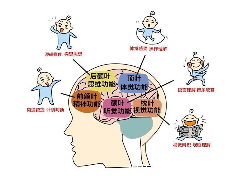 语言能力|宝宝什么时候会喊“妈妈”这个月龄之前喊出来，说明智力发育好