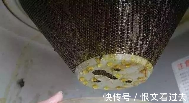 不锈钢清洁膏|厨房油污又黏又厚?教你一招,3秒去污,老油灶闪闪发光