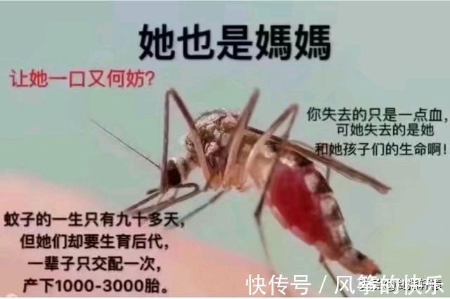 |搞笑段子:公司发的职业装穿着太紧了,我该怎么跟领导说啊?