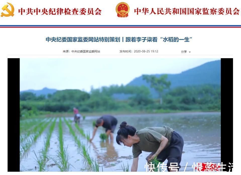 菜肴|李子柒将看似无用的西瓜皮变成精美菜肴,重新利用食材做到不浪费