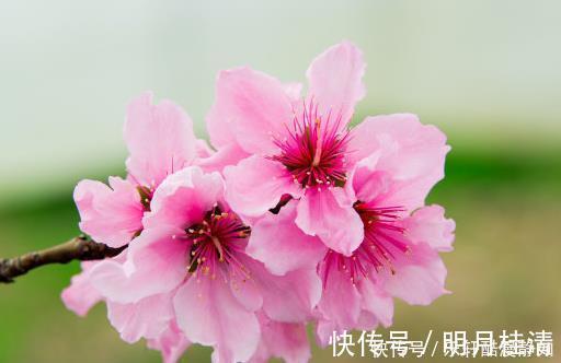 霉运|到了年底，霉运全散开，贵人八方来，4属相富贵无忧，越过越顺心