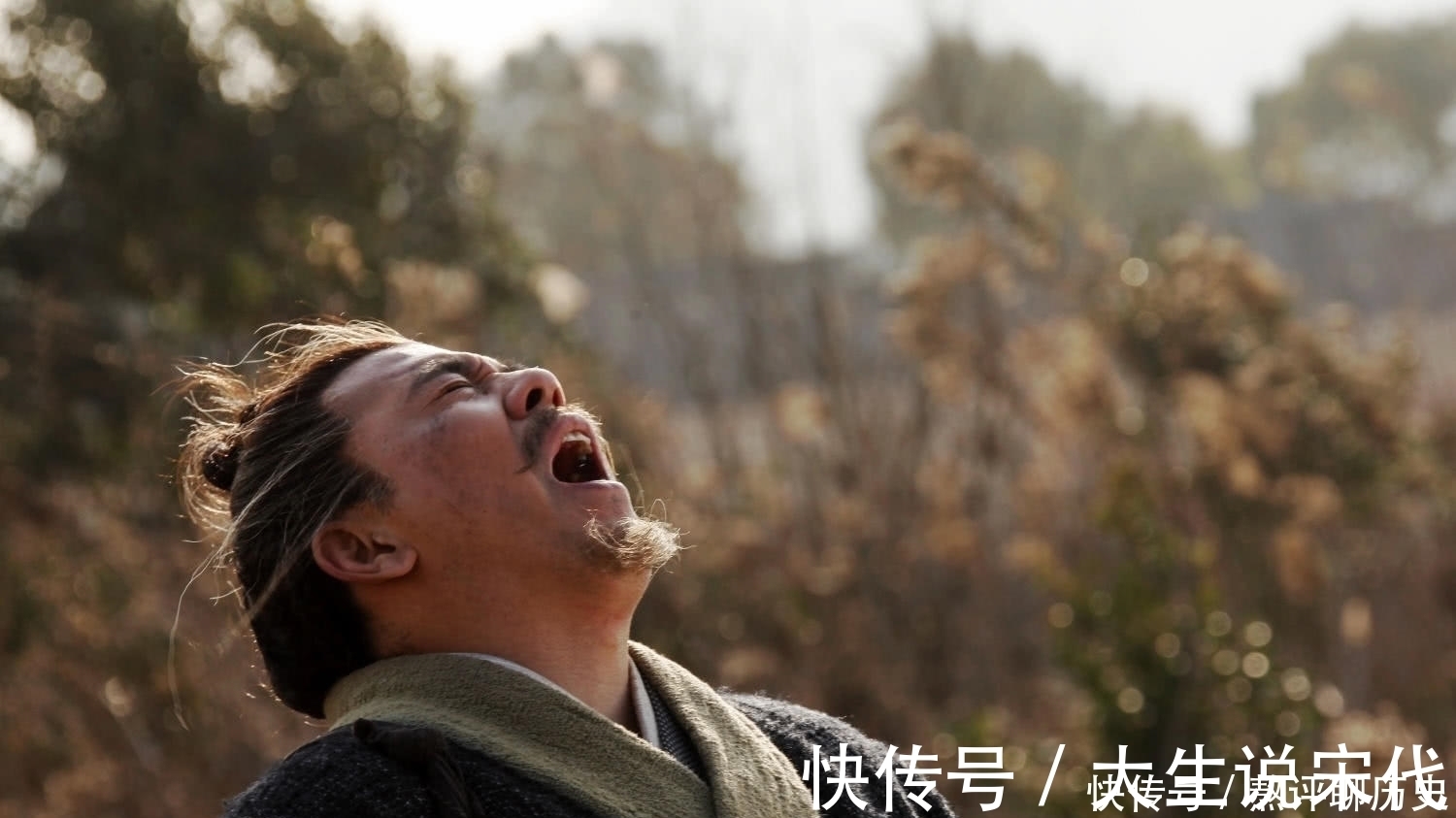 陆游|一生历经4帝罢贬5次,写出1万多首诗词,壮志未酬抱憾穷困而逝