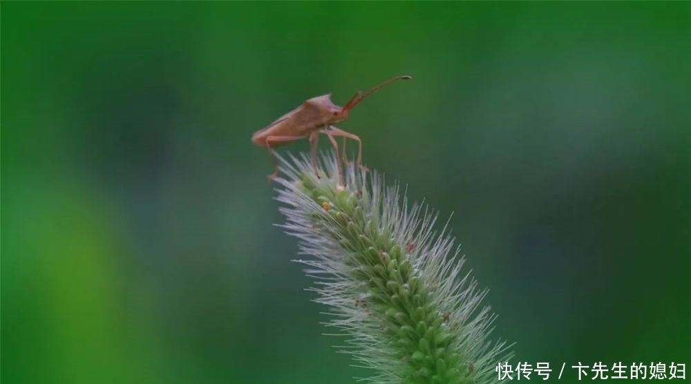 很有趣：中医谜语100则，中医笑话13则