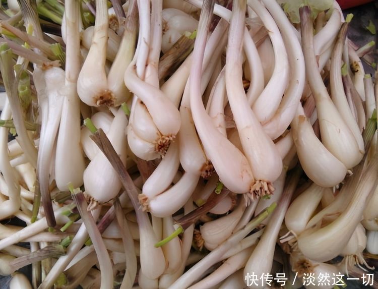 想长寿要会吃，3种食物离不开，排毒养颜，提高免疫力