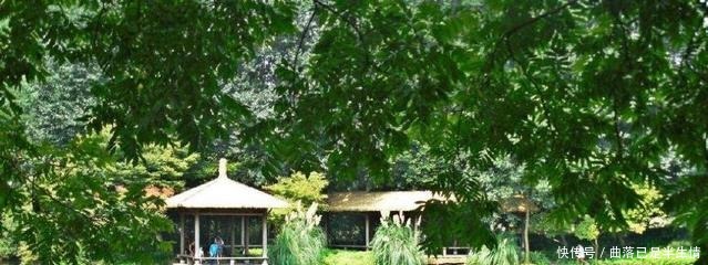 唐诗三百首|这首诗是唐人七律第一,连李白都自愧不如!