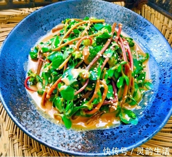 马齿苋|7月24日开始，请客教你几道拿手的家常菜，爽口开胃，实在太香了