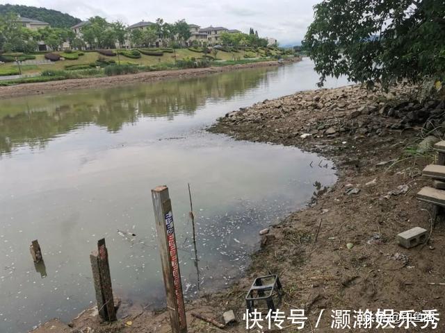 水草|进入深秋,老钓手都喜欢选这三种钓位,容易出大板鲫