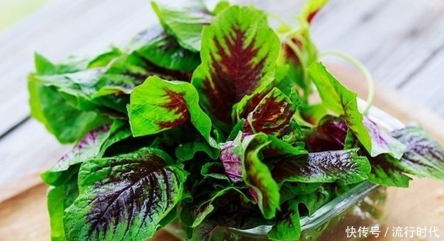 6月份多吃这3种宝贝野菜,滋阴润燥、保肝降血压,吃到就是赚到