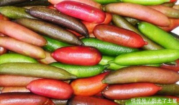 手指|指橙长得像手指的“橙子”,竟是水果中的鱼子酱