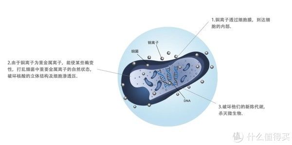 海绵|一款有点意思的睡眠佳品-图屹床垫开箱