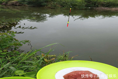 夏季野钓不上鱼怎么办老钓友告诉你三招，夏季野钓上鱼多