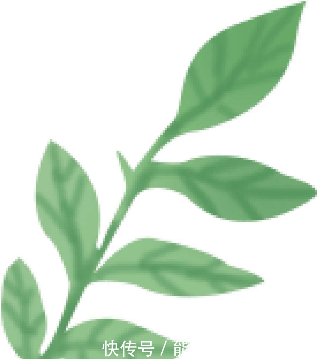 杜甫《绝句》(迟日江山丽)|睡前陪孩子听首诗| 黄宾虹画竹,笔情墨趣任天真\",\"i11\":\"名作