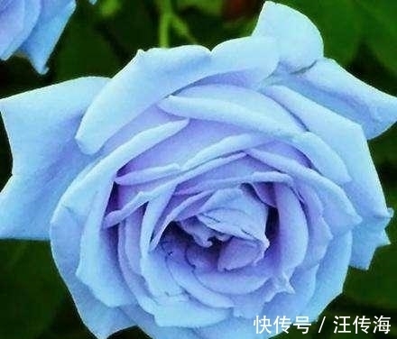 4大星座|10月份起桃花朵朵，真爱降临，喜鹊报喜，共度浪漫人生的4大星座