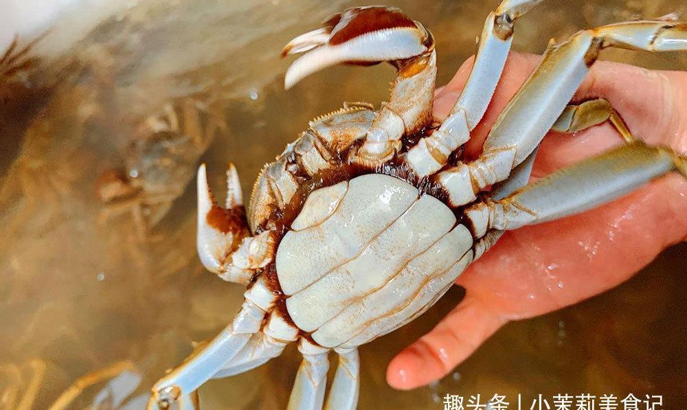 渔民|保存螃蟹,最忌直接放冰箱,老渔民教我2招,放一周都鲜活不变瘦