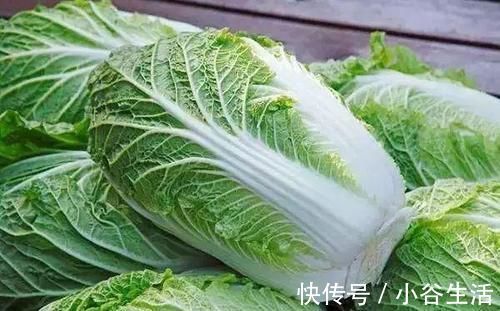 喷洒过甲醛的白菜,都会有这3个特点,看完再也不会买错了
