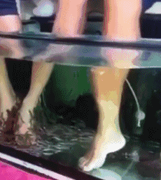 |搞笑GIF:女人结婚前和结婚后的差别