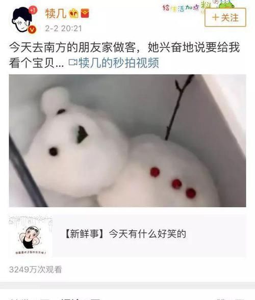 你冰箱里放的什么？反正我放的雪人！哈哈哈，南方人真的太可爱了
