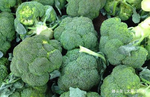 原来西兰花里真的有虫卵，菜农教你这样做，脏东西自动跑出来