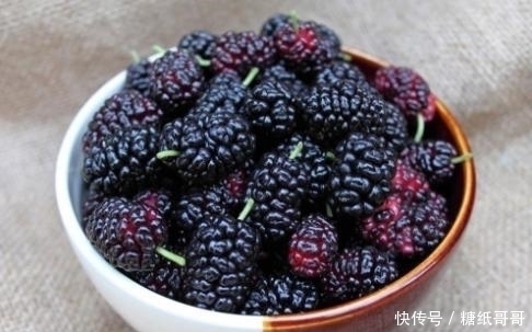 含有|桑葚营养好吃,桑葚有哪些功效和作用,吃桑葚有什么禁忌?