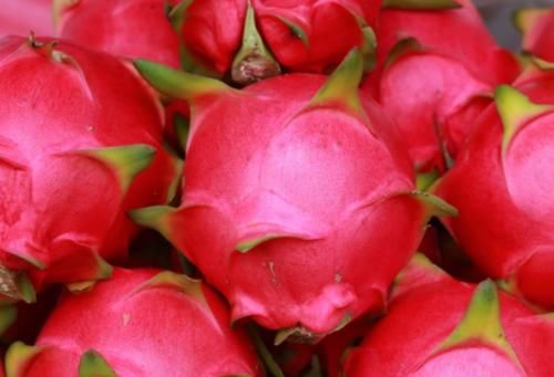 立秋时节|立秋时节,女性常吃三种食物,补血益气、滋润去燥