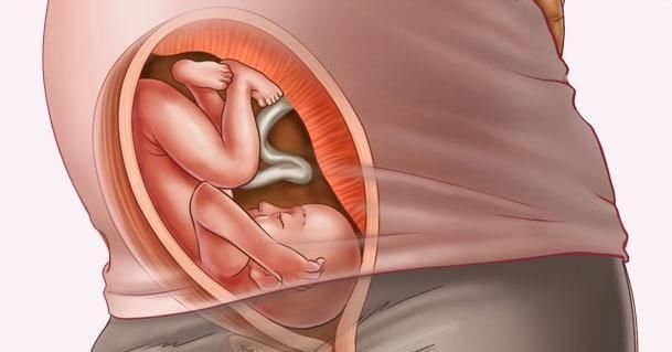 孕妇|怀孕8个月,如果有这6种感觉,说明胎儿很健康,孕妇大可放宽心