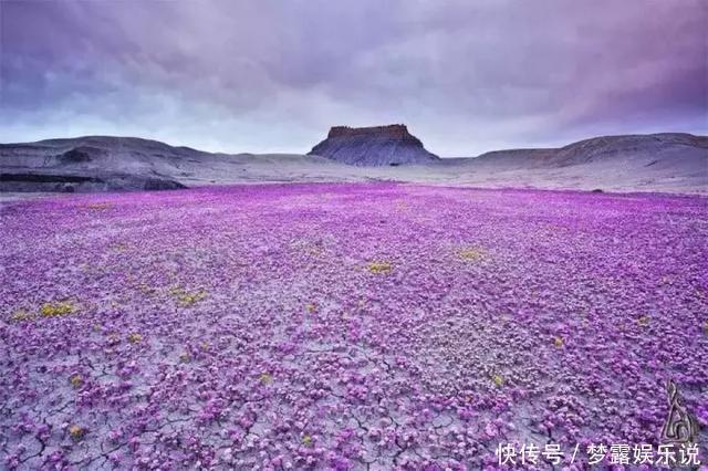 最高温 地球并不是圆的,一天也不是24小时!原来我们被骗了这么多年