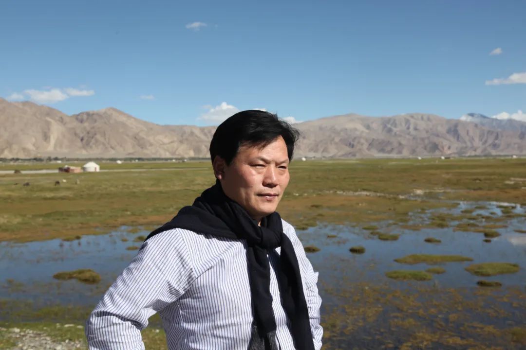 先生#全国艺术名家邀请展—— 陈军琪中国画作品赏析