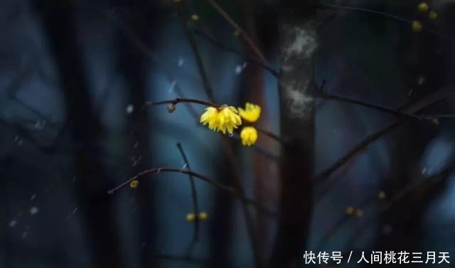 话不可随口,事不可随心,人不可随意(深度)