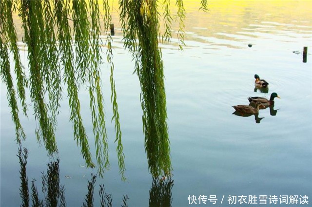 菖蒲!古诗词中九首青青夏色:山青青,水青青,垂杨鸥不惊