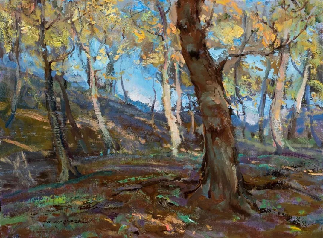 华金·索罗拉|他松散风格的油画,有着特殊令人回味的美