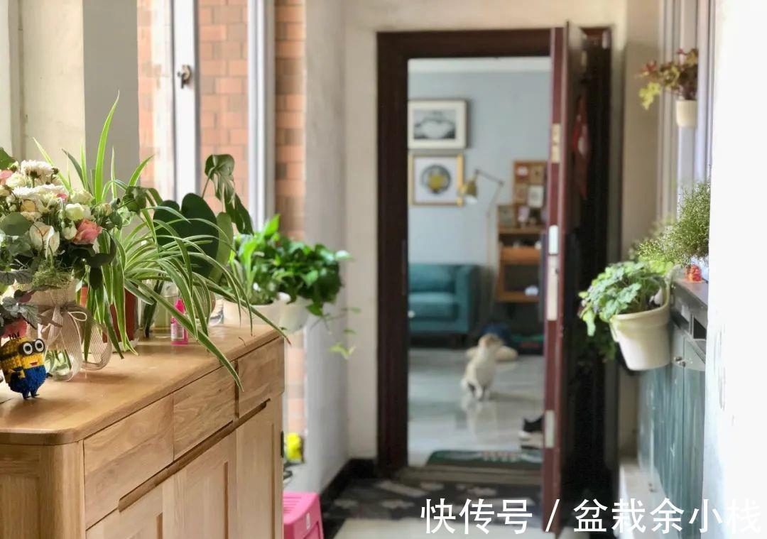 衣帽间|入户是阳台，买到这种户型都说赚到了，花园、衣帽间改一改都有了