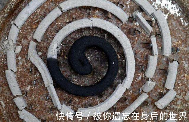 烂根|盆底垫三种东西,不怕招虫不烂根生病,养花更省事了