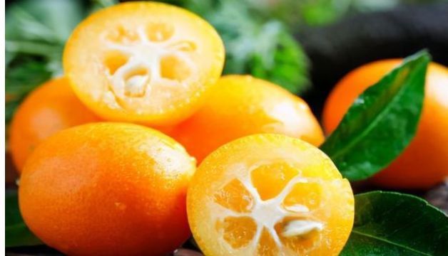 元宵节|元宵节当天,家人多吃3种好运果,寓意合家幸福生活快乐