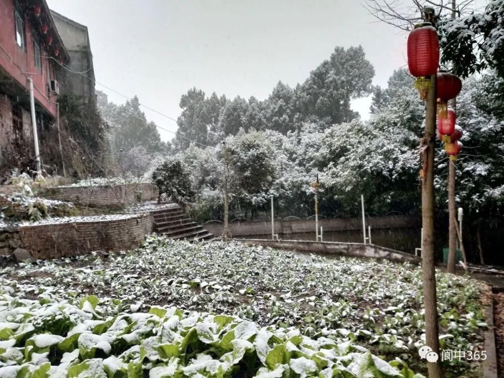 妙高镇金城山雪景图