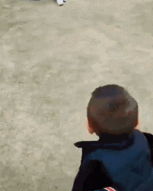 |搞笑GIF：大金毛估计是湖南的，四川重庆吃红辣椒，湖南就爱青椒