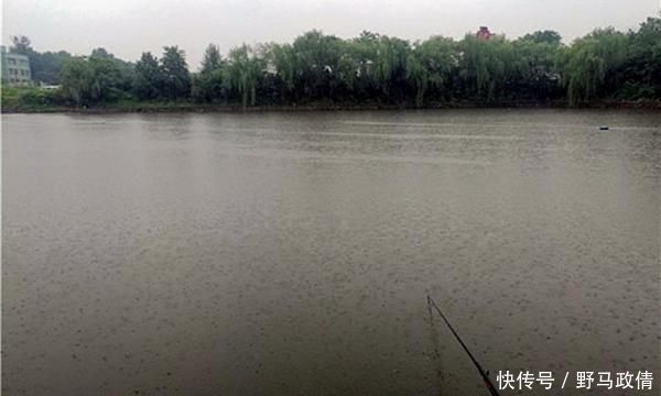 氧气|夏季钓鱼逐氧逐温,这些位置鱼儿成群,连竿上鱼很轻松