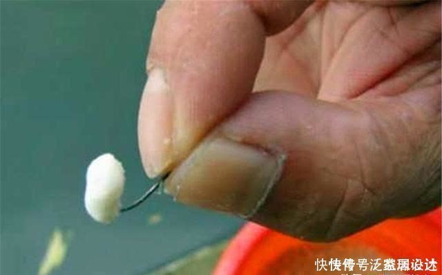 鲫鱼|仲春适合野钓大板鲫,介绍几款自制“素饵”,钓大鲫鱼很给力